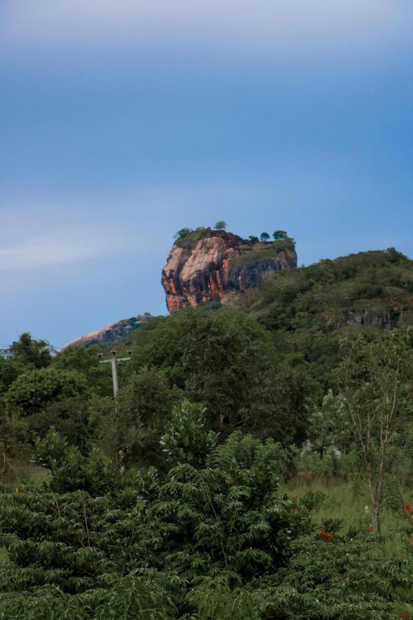 Sigiri Gayani Home Stay Сигирия Экстерьер фото
