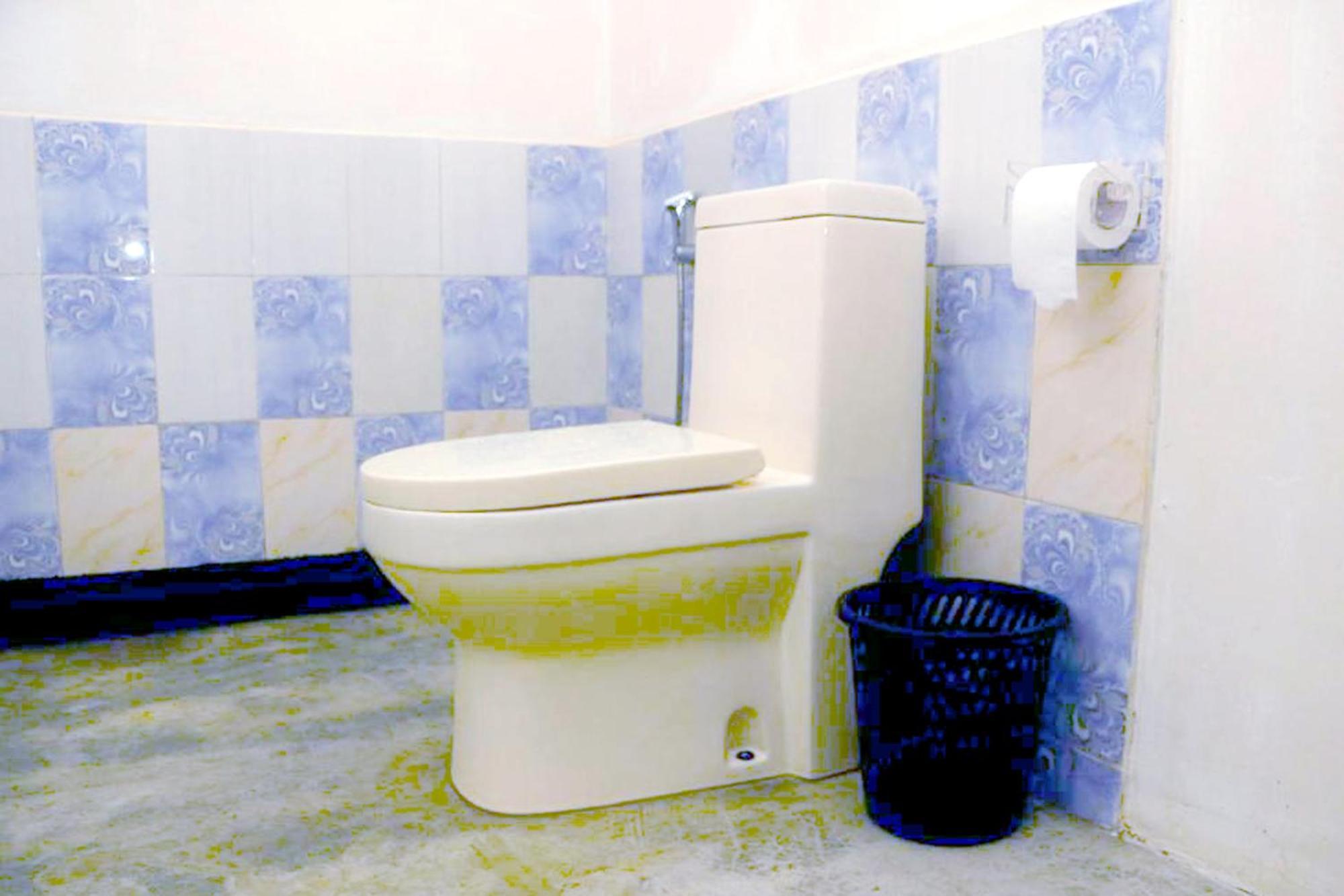Sigiri Gayani Home Stay Сигирия Экстерьер фото
